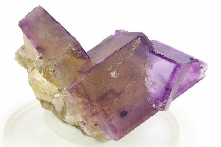 Chalcopyrite Crystals on Purple-Yellow Fluorite - Cave-in-Rock #268525